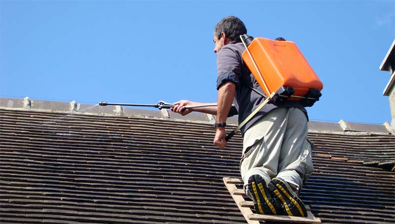 Nettoyage et démoussage toiture en Belgique : Région Flamande, Wallonne et Bruxelles  - HD PRO ROOF Couvreur en Belgique : Nettoyage, démoussage toit et peinture hydrofuge colorée pour toiture. Intervention en Belgique : Région Flamande, Wallonne et Bruxelles